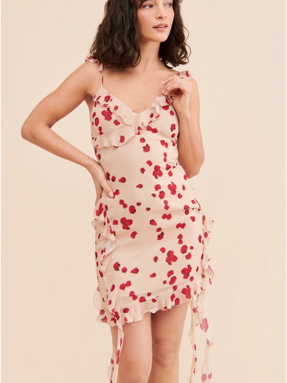 Saemdi Ruffled Chiffon Slip Dress with Red Floral Print NWT Large